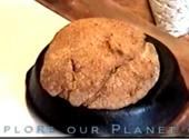 Whole Wheat Pioneer Bread